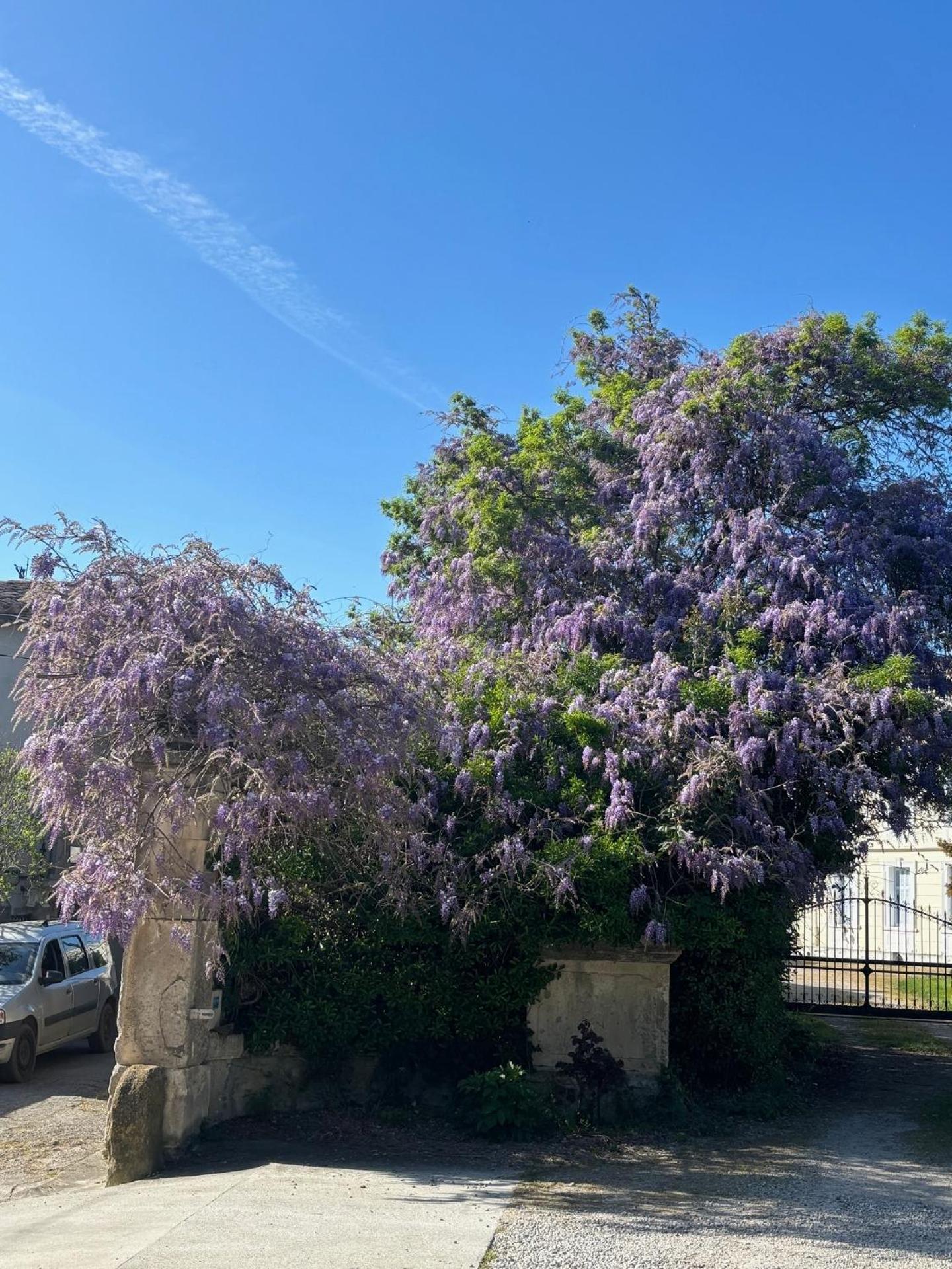 Le Grenier Occitan Bed & Breakfast Gramazie Exterior foto